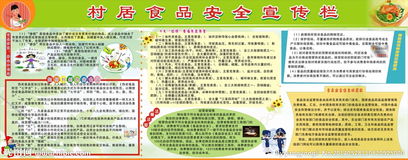 村居宣傳食品安全知識(shí)活動(dòng)簡(jiǎn)訊