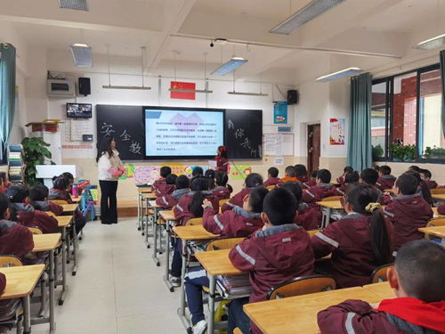 安全預防知識宣講