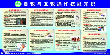 安全自救和互救知識
