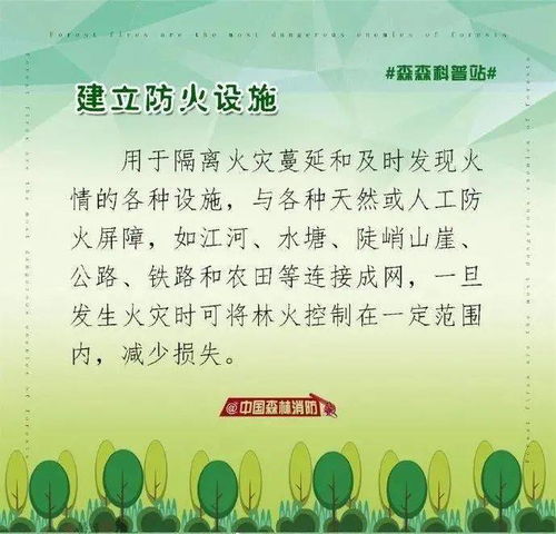 小學(xué)生防森林火災(zāi)安全知識