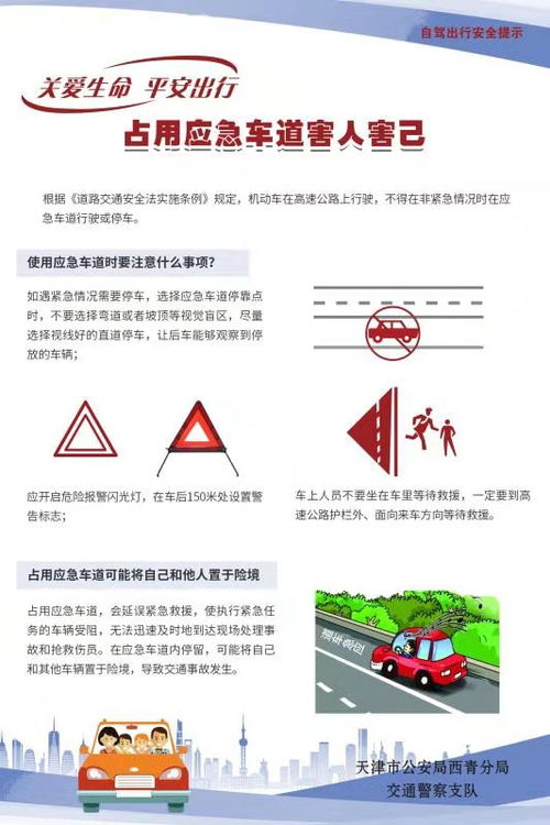 交通安全知識(shí)資料文字