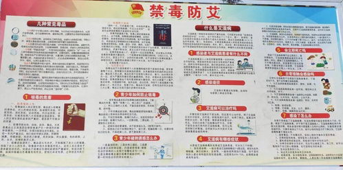 安全法制知識進(jìn)校園活動總結(jié)