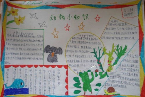 三級小學(xué)生安全知識小報內(nèi)容