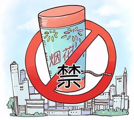 涇陽(yáng)縣煙花爆竹安全知識(shí)試卷