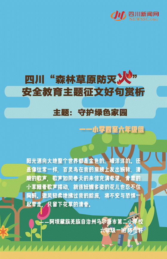 安全教育知識(shí)征文