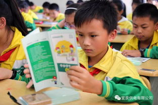 安全知識我知安全用電