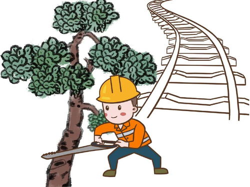 鐵路防洪防汛安全知識(shí)客運(yùn)