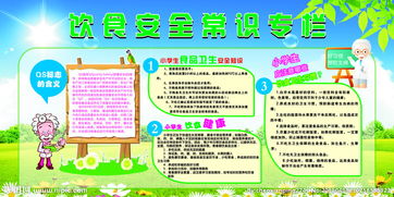 飲食安全知識(shí)心得體會(huì)