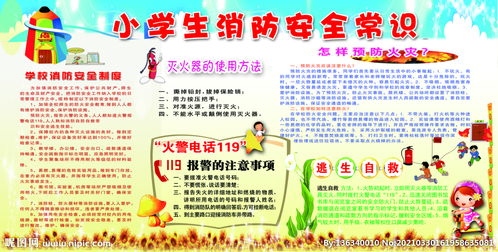 小學(xué)生校園防爆安全知識