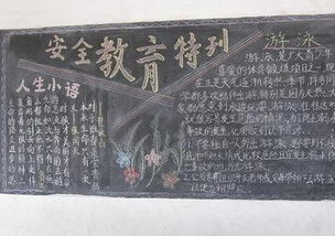 交通知識(shí)安全作文300