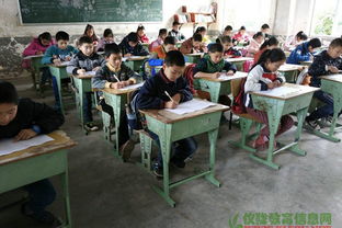 小學春季安全知識測試