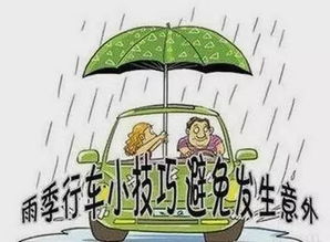 雨季汛期安全行車知識(shí)