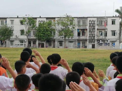 防溺水安全知識(shí)國(guó)旗下演講