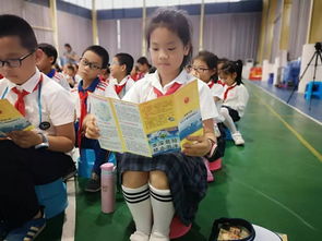 安全知識進校園三級作文100字