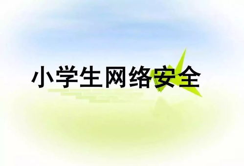 小學生網(wǎng)絡安全知識作業(yè)