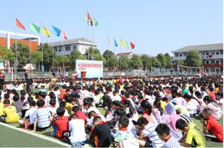 水上交通安全知識宣傳活動小結(jié)