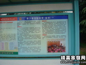 安全教育知識學科總結(jié)