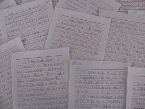 中學(xué)生安全知識(shí)作文400