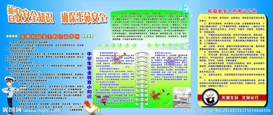 Xx安全知識普及