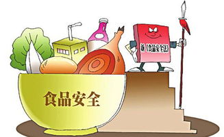 食品安全預(yù)防傳染病教育知識(shí)