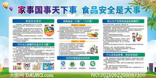 學校食品安全知識宣傳總結(jié)