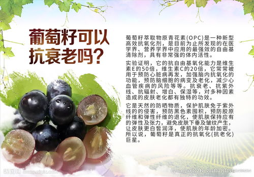 安全知識(shí)為主題的宣傳小畫報(bào)