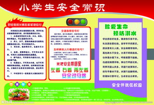 校園櫥窗安全小知識(shí)