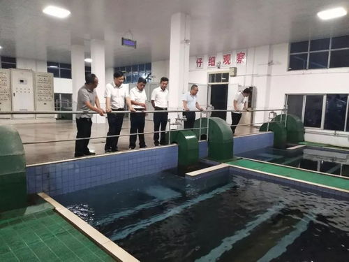 夏天自來(lái)水安全知識(shí)