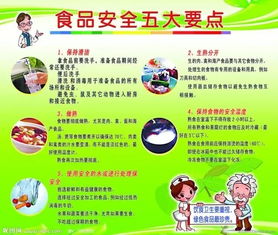 小學學校食品安全教育知識