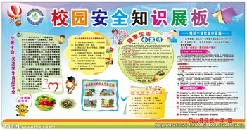 關(guān)于安全校園的知識高中作文