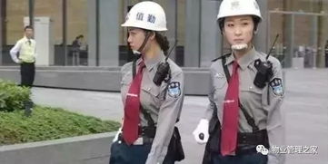 物業(yè)保安執(zhí)勤安全知識培訓