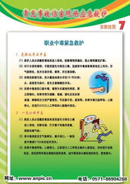 安全知識(shí)及救護(hù)知識(shí)