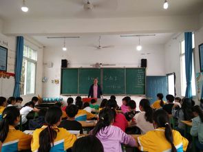 小學(xué)生安全知識(shí)競(jìng)賽簡(jiǎn)陽市教育局