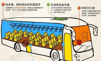 乘坐大巴小學(xué)生安全知識(shí)