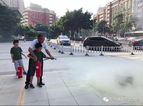 童子軍安全知識題