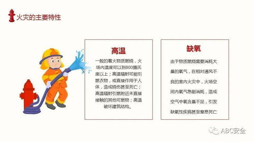 消防安全知識陪訓(xùn)總結(jié)