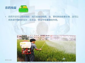 食品安全知識(shí)講座安排