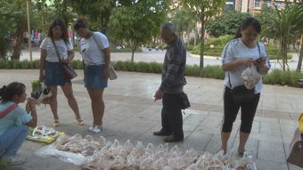 食用野生菌的安全小知識