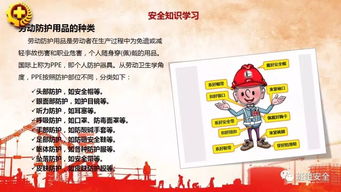 安全技術(shù)知識的培訓(xùn)心得