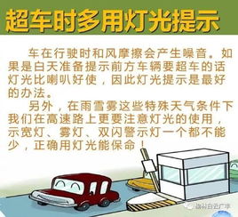 安全駕駛知識教育