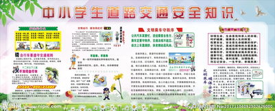 道路安全知識(shí)培訓(xùn)