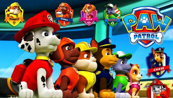 汪汪隊(duì)安全知識(shí)