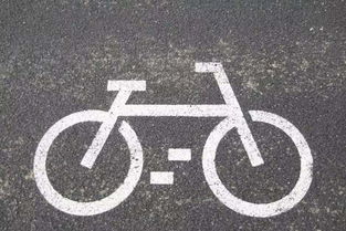 共享單車(chē)安全知識(shí)普及