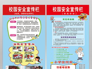 中學(xué)小學(xué)安全知識(shí)測試