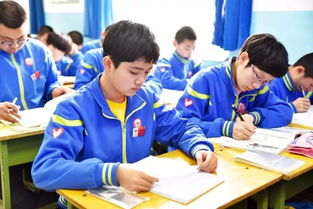 電視采訪關(guān)于安全方面的知識