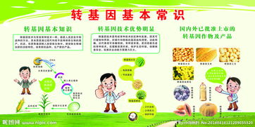 農(nóng)作物轉(zhuǎn)基因知識(shí)與安全管理