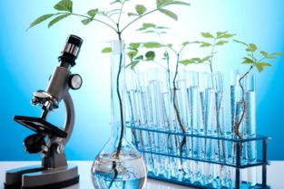 有機(jī)實(shí)驗(yàn)安全知識(shí)