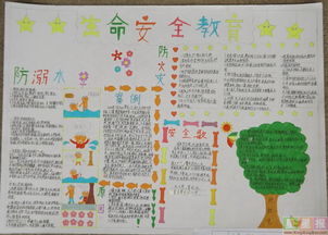 安全教育知識(shí)的手抄報(bào)內(nèi)容摘要