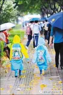 小學(xué)雨天交通安全知識(shí)