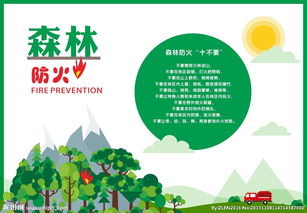 森林自救防火安全知識(shí)